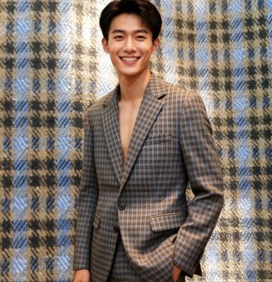 30%Rayon 70%Polyester 280gsm 280gsm Smooth Firm Hand Feel Excellent Drape Check Blazer Fabric