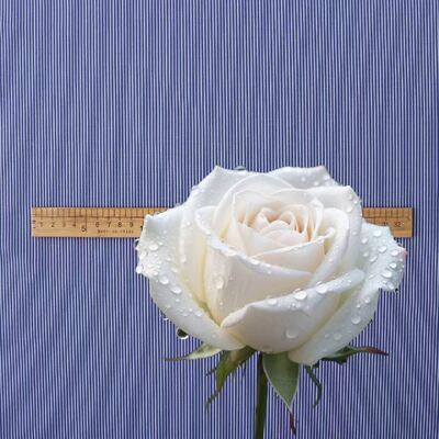 پارچه نخی بادوام رنگ شده با نخ راه راه برای پیراهن های یونیفرم رسمی 110 گرم